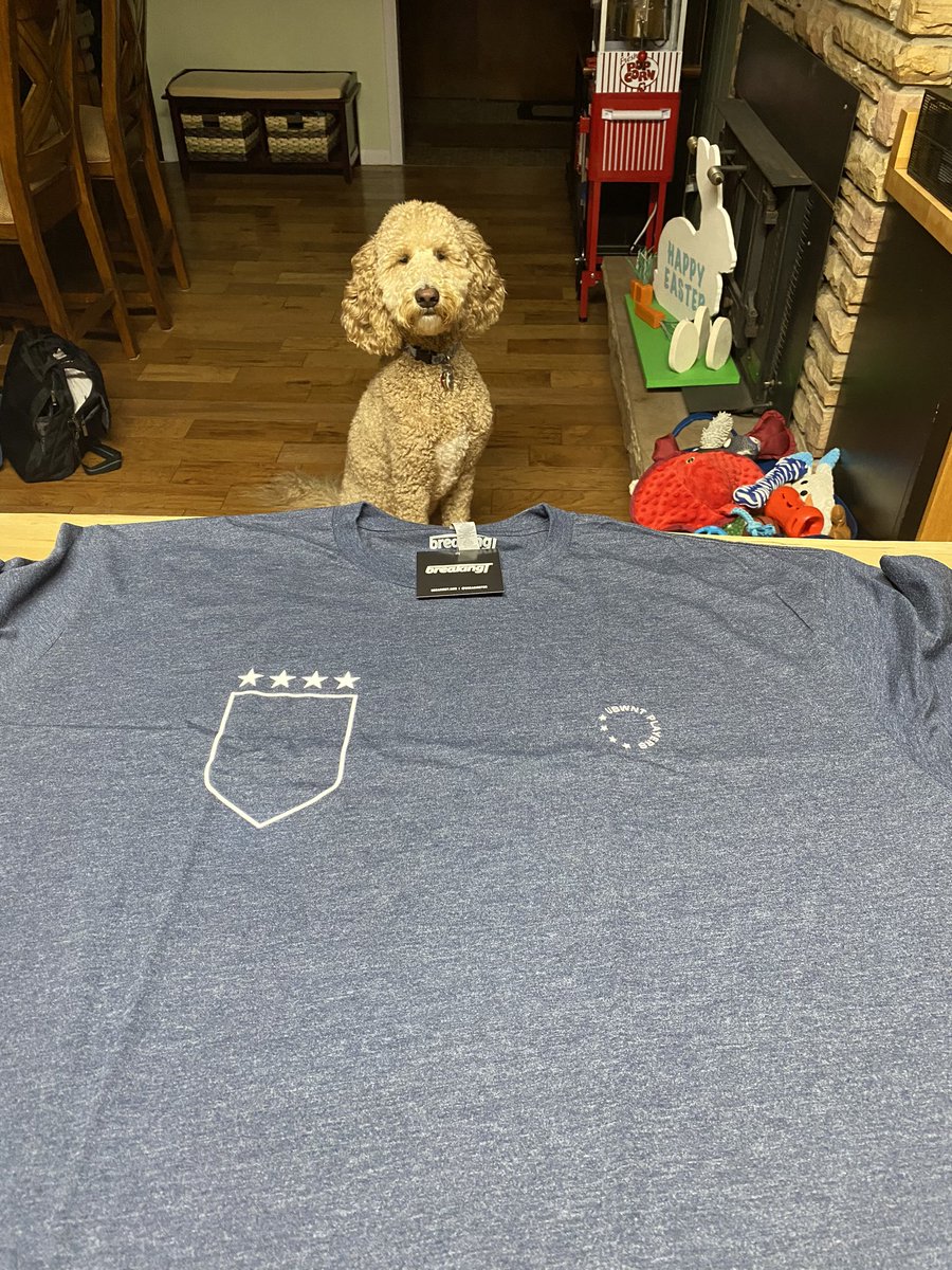 taymayne's tweet photo. Memphis and I are very excited about my new shirts! @USWNTPlayers @breakingtco #PaytheWomen #WearTheMoment https://t.co/LmrcOPccMH