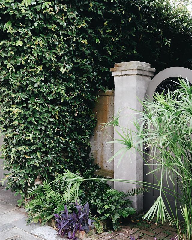 Check our story highlights to see all the opportunities to support our community!! Donate where you can, shop local and go get some take out 💙 #Charleston #explorecharleston #abitofcharleston #chstoday