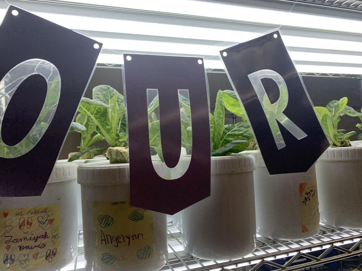 Sarah Hillard tweet media