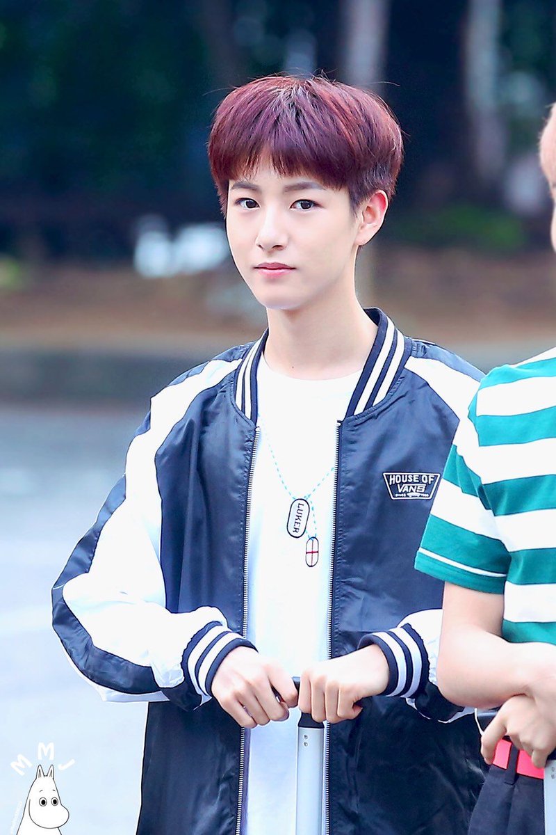 คริส23ㅈ tweet media