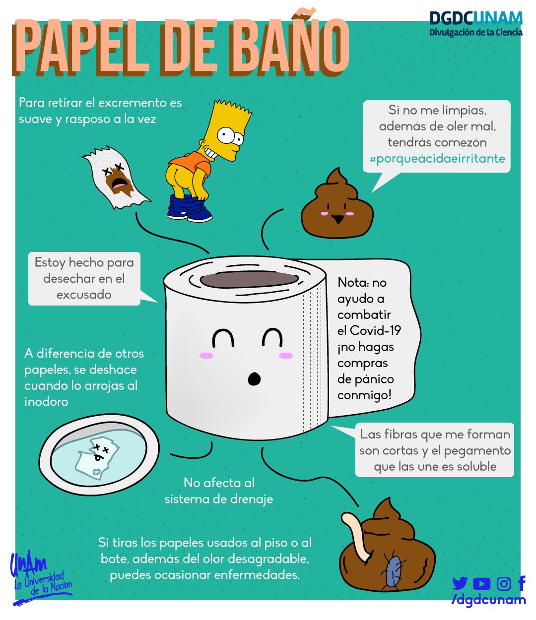 Divulgación de la Ciencia, UNAM on Twitter: "El papel de baño 🧻 no ayuda a  combatir el #COVID_19 ¡No hagas compras de pánico! La costumbre de  depositar el papel higiénico en el