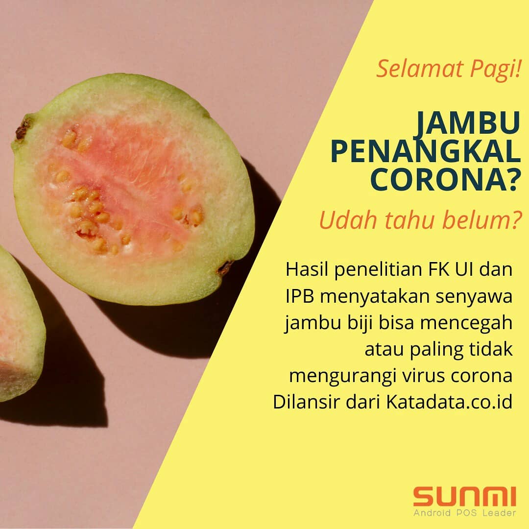 sunmipos's tweet photo. Hasil penelitian FK UI dan IPB menyatakan senyawa jambu biji bisa mencegah atau paling tidak mengurangi virus corona. Dilansir dari Katadata. Nah, jambu bijinya bisa buah langsung atau extract jambu biji seperti jus/smoothies
#covid19 #viruscorona #coronaindonesia #dirumahaja https://t.co/iyS8nGL4fx