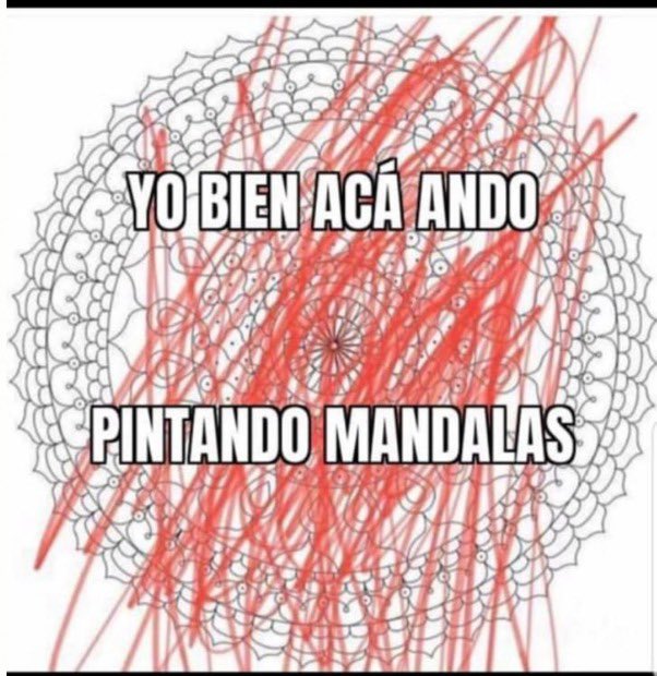 k_Johansen's tweet photo. Tranqui, acá... https://t.co/oUK4ywLbWq