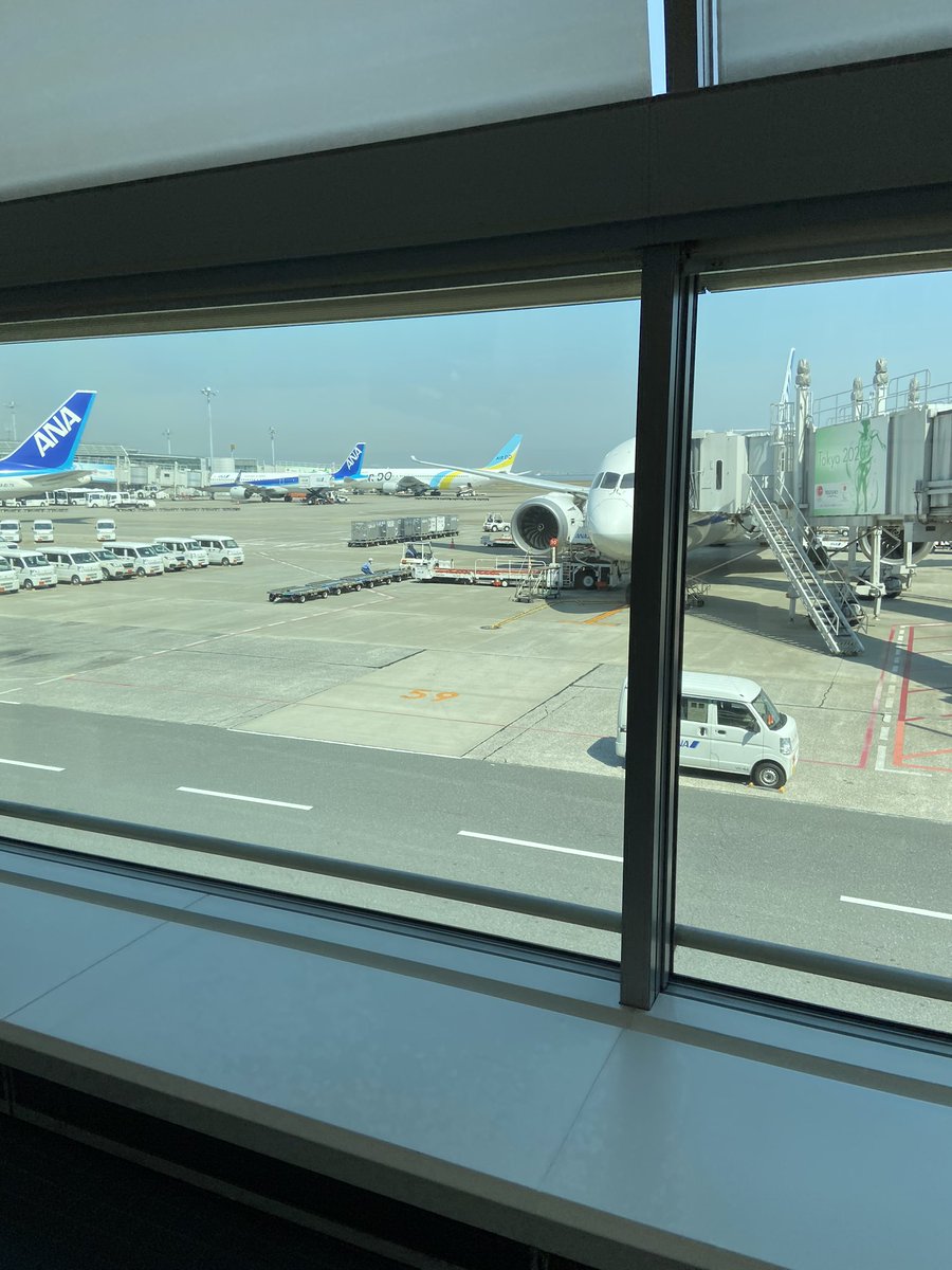 nyaboroneko's tweet photo. ハロー東京 https://t.co/ZoAE0sD7UP