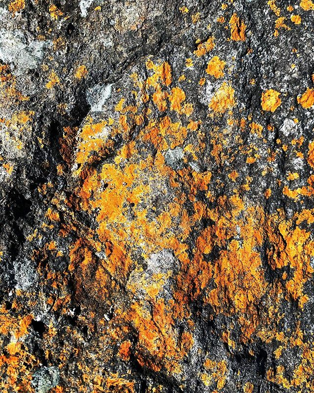 muddylaces's tweet photo. Rock. #eastsookepark #notfeelingcreative #rock https://t.co/NxzRQnUU29 https://t.co/rjyzxOD7Ha