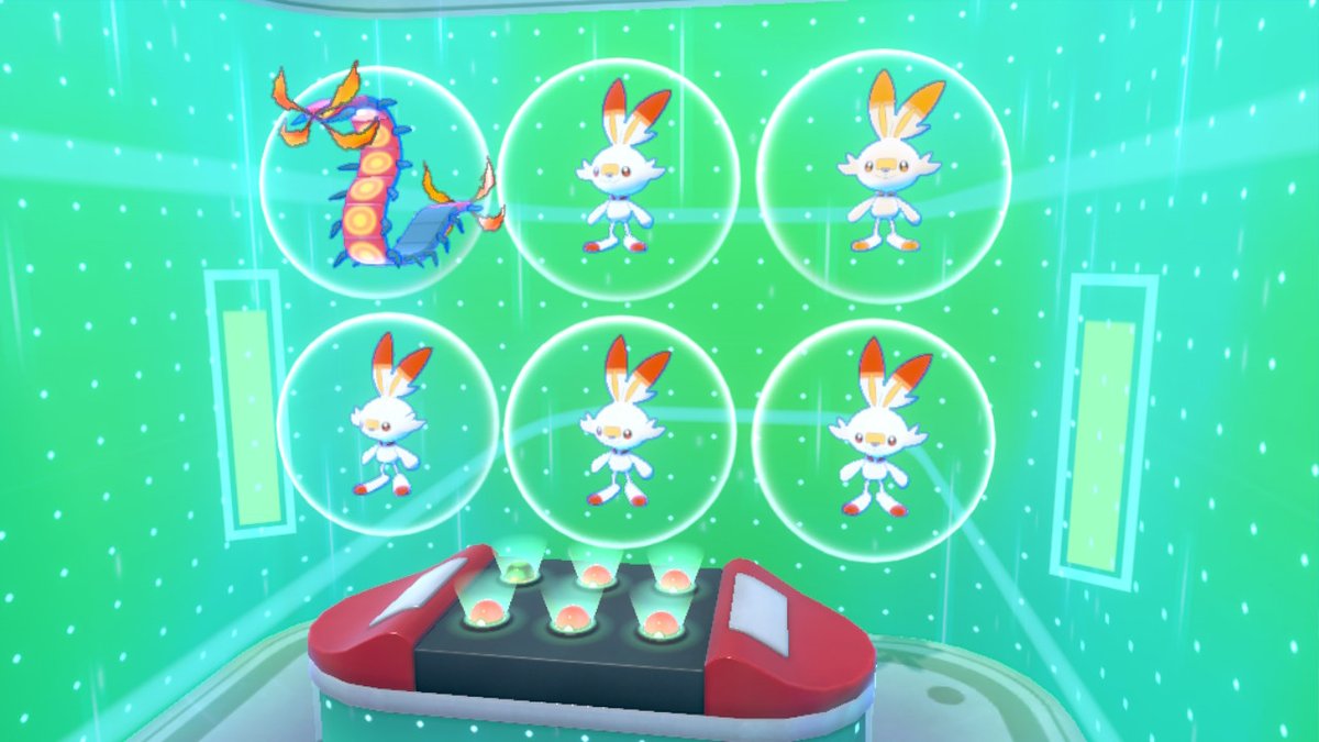 urukud's tweet photo. ヒバニーを愛しヒバニーに愛されたuruk
なを菱形じゃないので継続 #ポケモン剣盾 #NintendoSwitch https://t.co/MVMNZC2ZOy