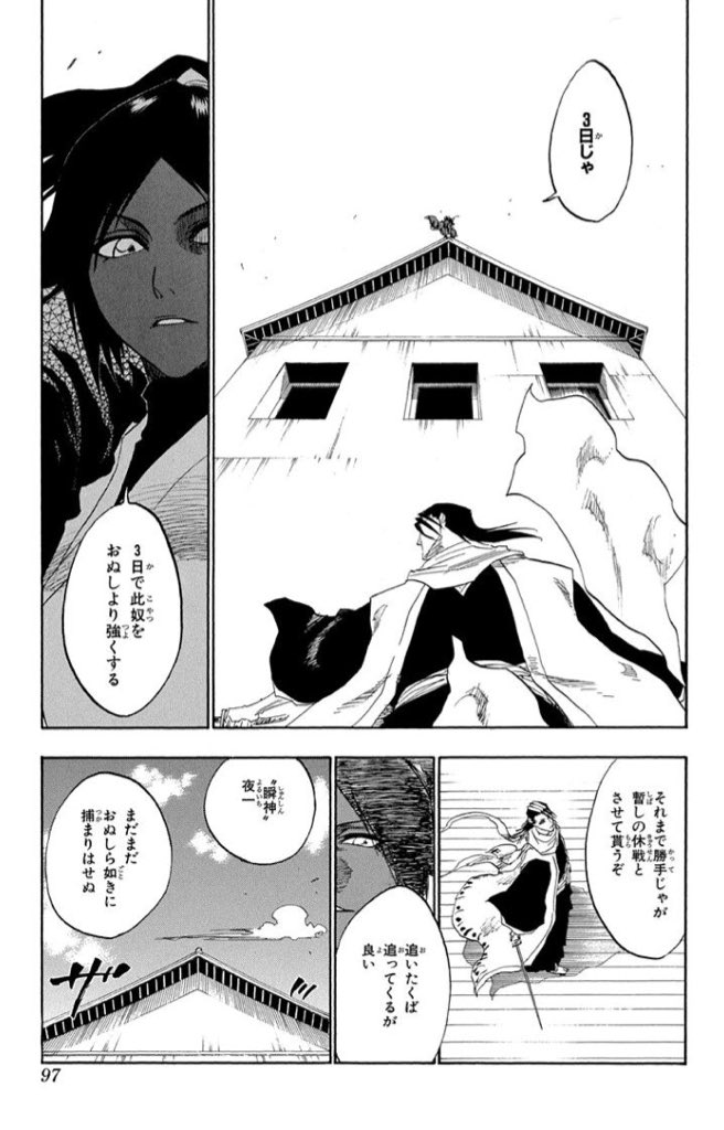 夜一 当時の最強格の白哉を手玉に取るところ痺れたよな?