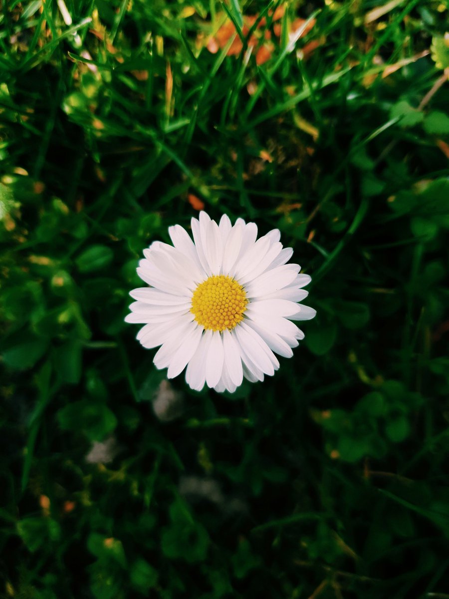 행복
 
저녁때
돌아갈 집이 있다는 것.
 
힘들 때
마음속으로
생각할 사람이 있다는 것.
 
외로울 때
혼자 부를 노래가 있다는 것.
 
나태주 ‘행복’

bit.ly/2TBGJb8