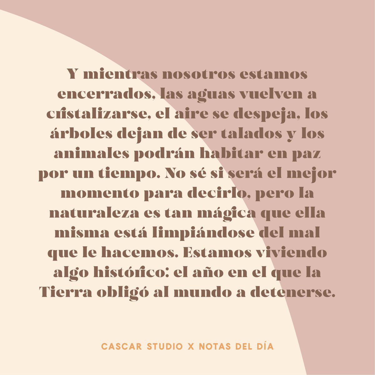 Cascar Studio✨ tweet media