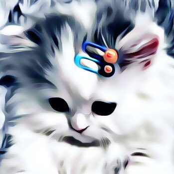 แพ้ทางแมว #.NewProfilePic