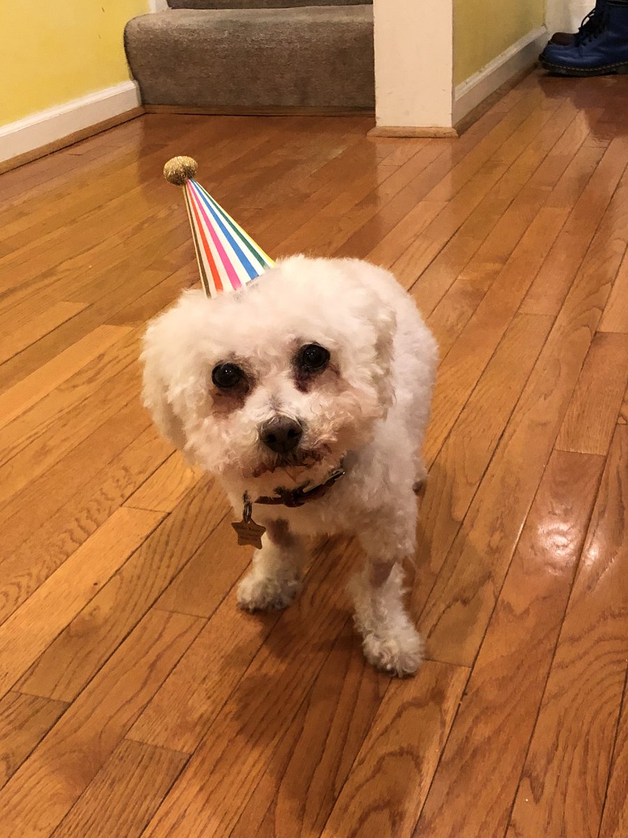 rebelchanteuse's tweet photo. @gavinjohnadams Happy birthday! https://t.co/srXJkDDwze