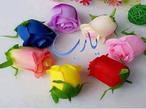 أكتفي 
     سبحانك اللهم وبحمدك أشهد أن لا إله إلا أنت استغفرك وأتوب إليك 
اجعلها آخر تغريدة فالموت يأتي فجأة ولايستأذن 
نسأل الله حسن الخاتمة