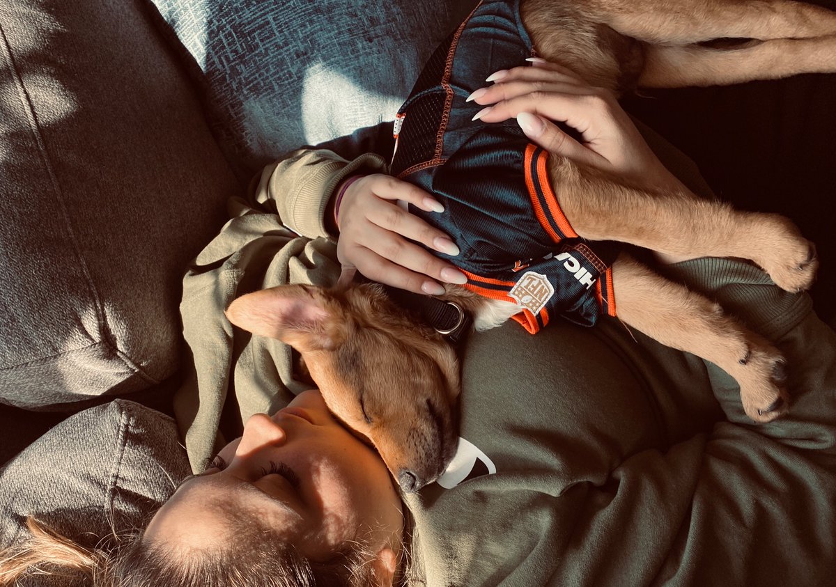 daniela_cozzone's tweet photo. My son🐾🖤 https://t.co/Rywbtx7Zvd