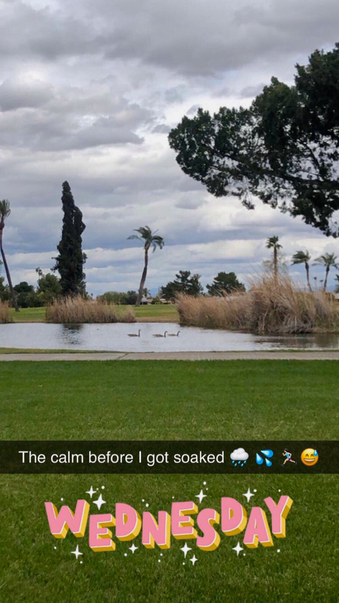 Marce_AZ's tweet photo. 6.5 miles ✅ in the rain... soaked... 🌧😅 #NAFlagvisor #RunAZ #RunderfulRunners #StartlineRacing #RainyRun https://t.co/KR9zLeVkAN