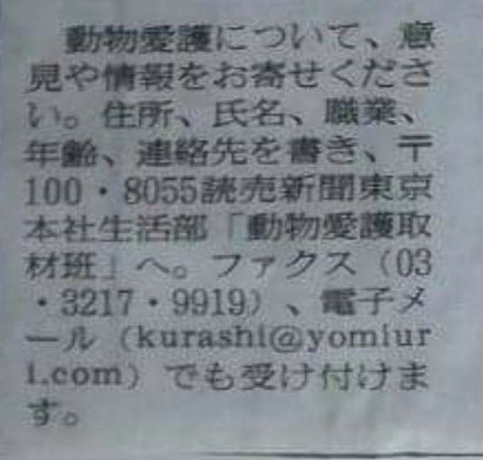 Saya 私の宝 読売新聞 動物愛護 について 意見 や 情報 を集めてます 動物愛護取材班 へ ｆａｘ メール よろしくお願いします 郵便番号 100 8055 読売新聞関東東京本社生活部 動物愛護取材班 宛 ｆａｘ 03 3217 9919 メール Kurashi