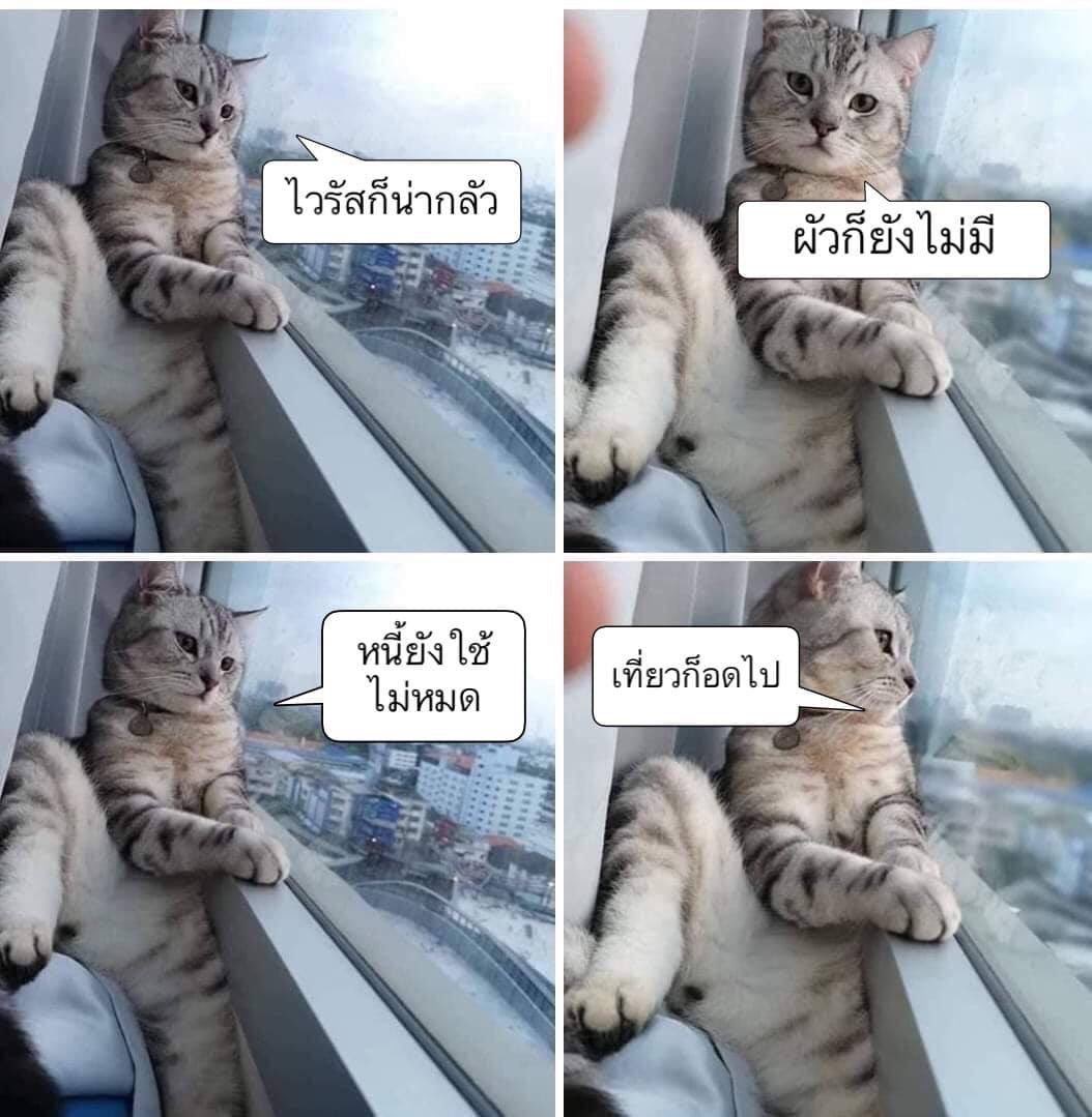 ïđ tweet media