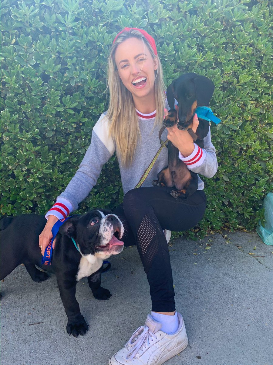 itskendalllong's tweet photo. Meet Tesla! Our new little foster pup 💕AND he is up for adoption! Contact @iswmp to foster or for adoption info! https://t.co/9slmBPt9PA