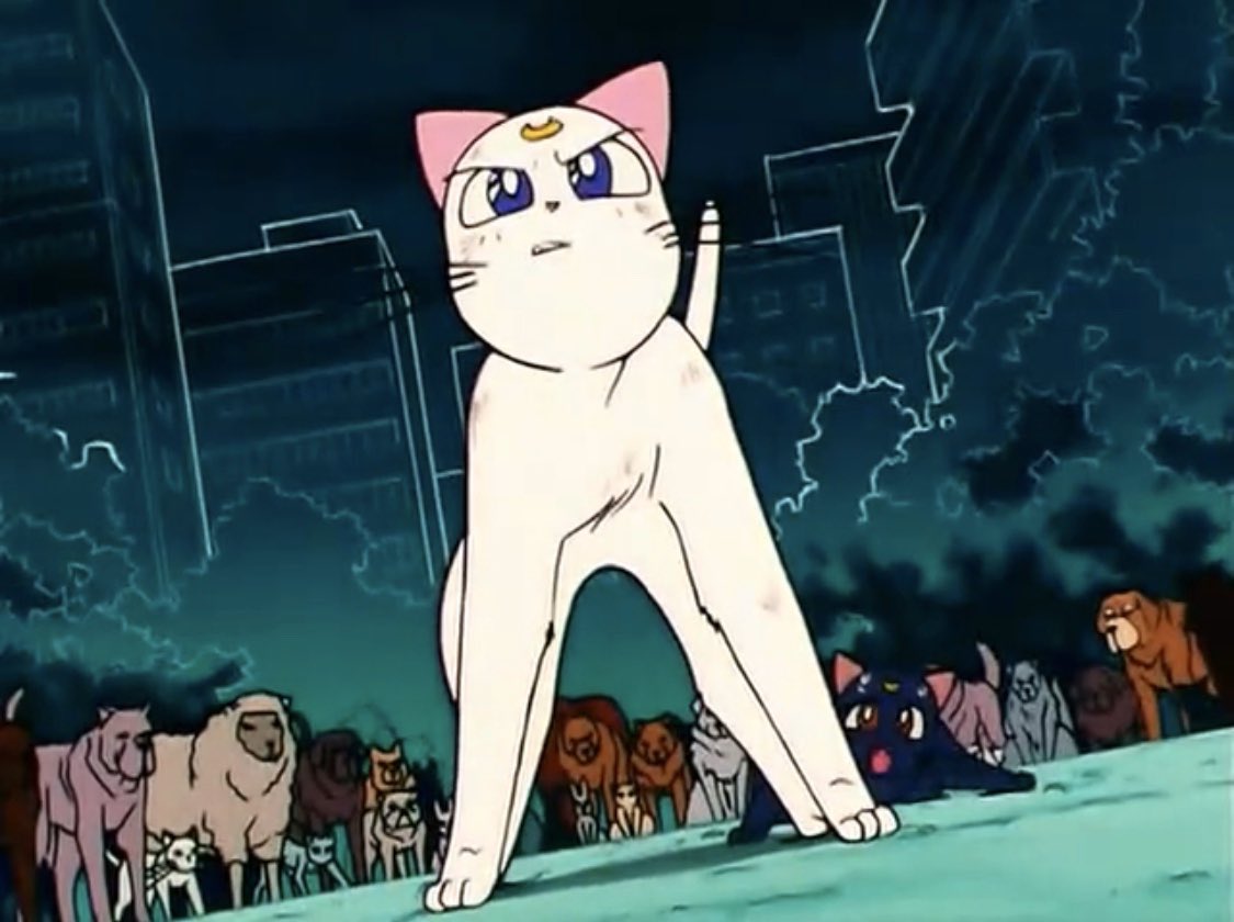 EP79 = 7.9/10 It was nice giving Artemis more screentime! An episode all about animals, yay :D Sailor Venus is adorable  