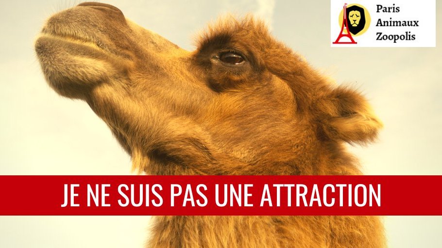 HumanSirk's tweet image. 