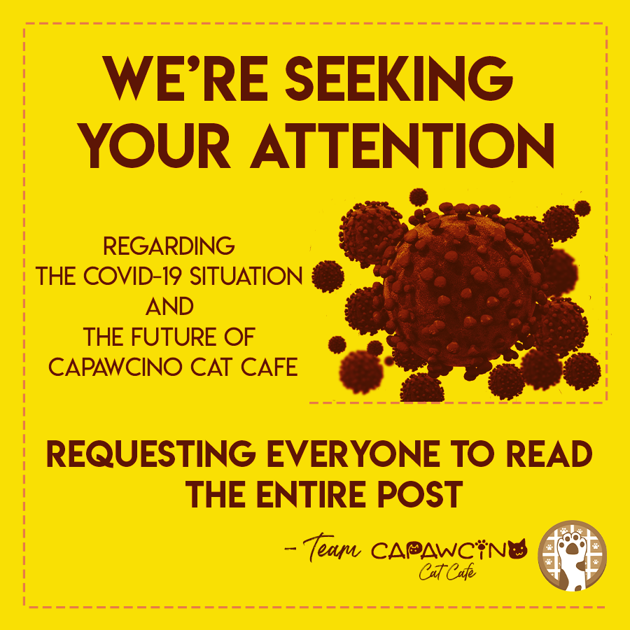 capawcino's tweet photo. We are all aware of the current COVID-19 situation the world is in. Ignoring such an issue like Coronavirus would be lethal for everyone. Please read the entire post: https://t.co/aNxPuRLChA

#capawcino #capawcinocatcafe #catcafe #coronavirus #covid19 https://t.co/FYRzeCzE12