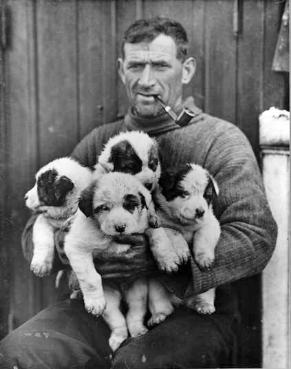 Tom Crean. 1877-1938. Born Anascaul, Co Kerry. Joined  @RoyalNavy at 15! Member of 3 major expeditions to Antarctica! In one, awarded Albert Medal for Lifesaving; walked/crawled to get help for Lt Teddy Evans who had scurvy so couldn't walk! i/c dogs! Mt & glacier named after him!