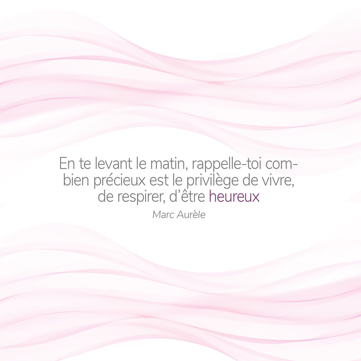 Les Happycuriennes tweet media