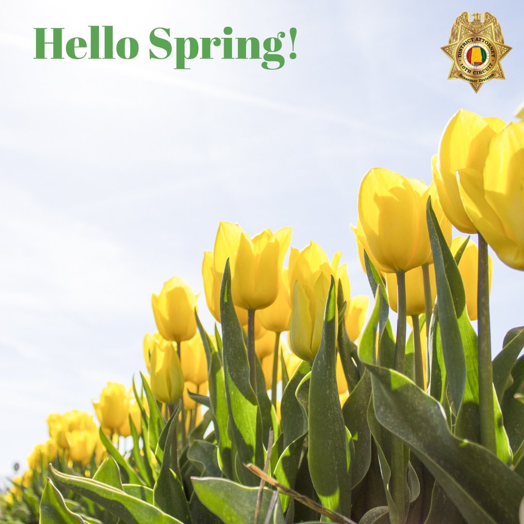 jeffcobessda's tweet photo. Hello Spring! We’re so glad you’re here!
#Spring #JeffCoDA #BessemerCutoff https://t.co/dzhQ5fBCHT