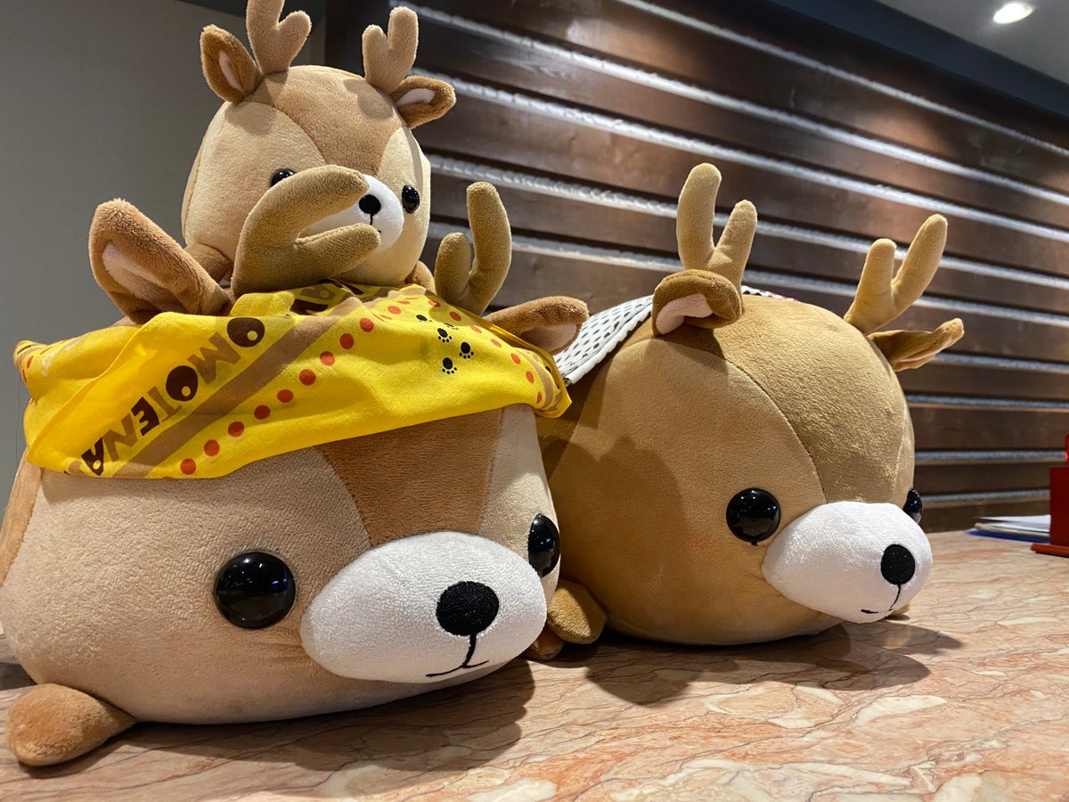 みなさんこんばんは！ 朝陽リゾートホテルでございます！！ もみじ