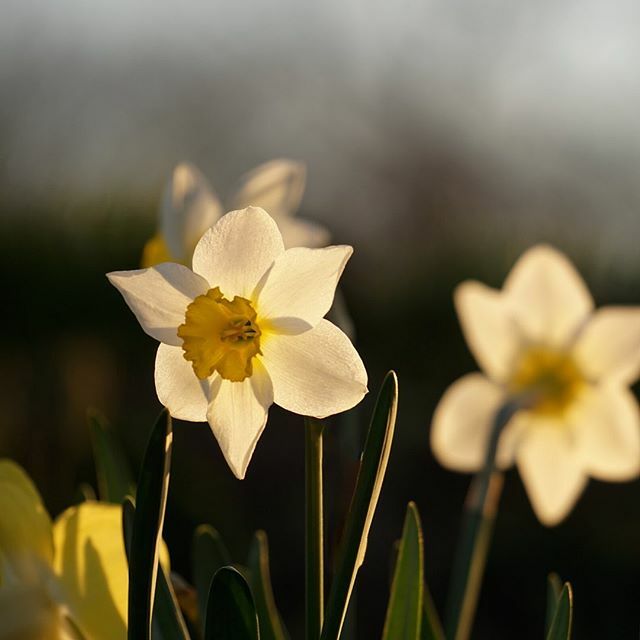 Hannah Belton tweet media