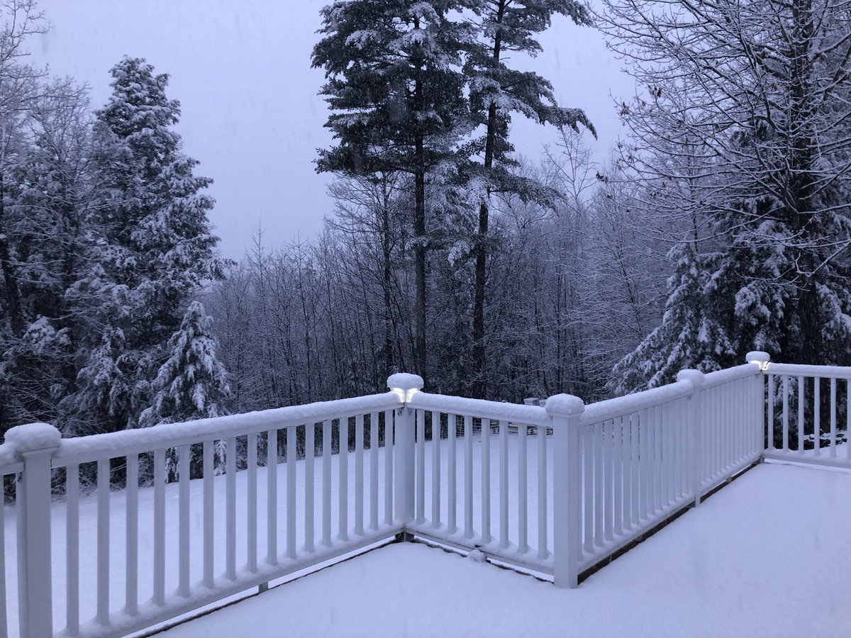 Peter Hills tweet media