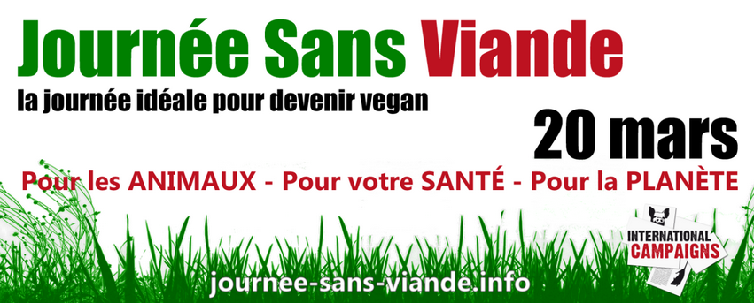 action_ic's tweet photo. Vendredi 20 mars, #journéeinternationalesansviande, il est temps de changer d'alimentation pour les animaux et pour préserver la planète et sa santé. En période de #confinement, profitez-en pour tester des recettes végétales délicieuses et nourrissantes ! 
https://t.co/gmAvS9LuI9 https://t.co/5SvTmh7Fww