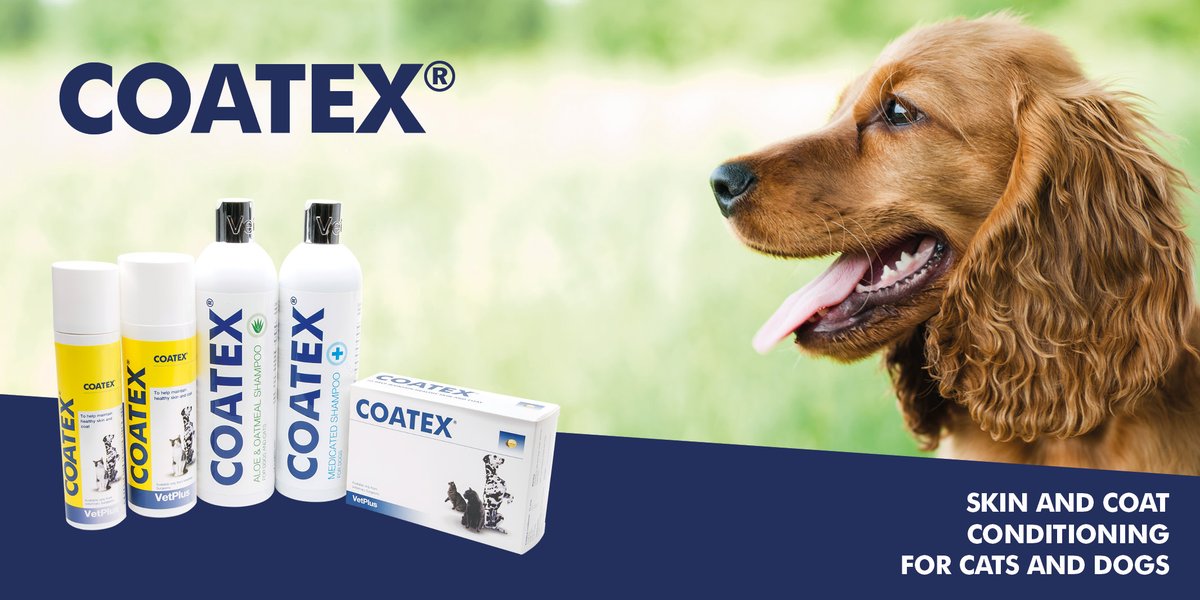 coatex dog shampoo