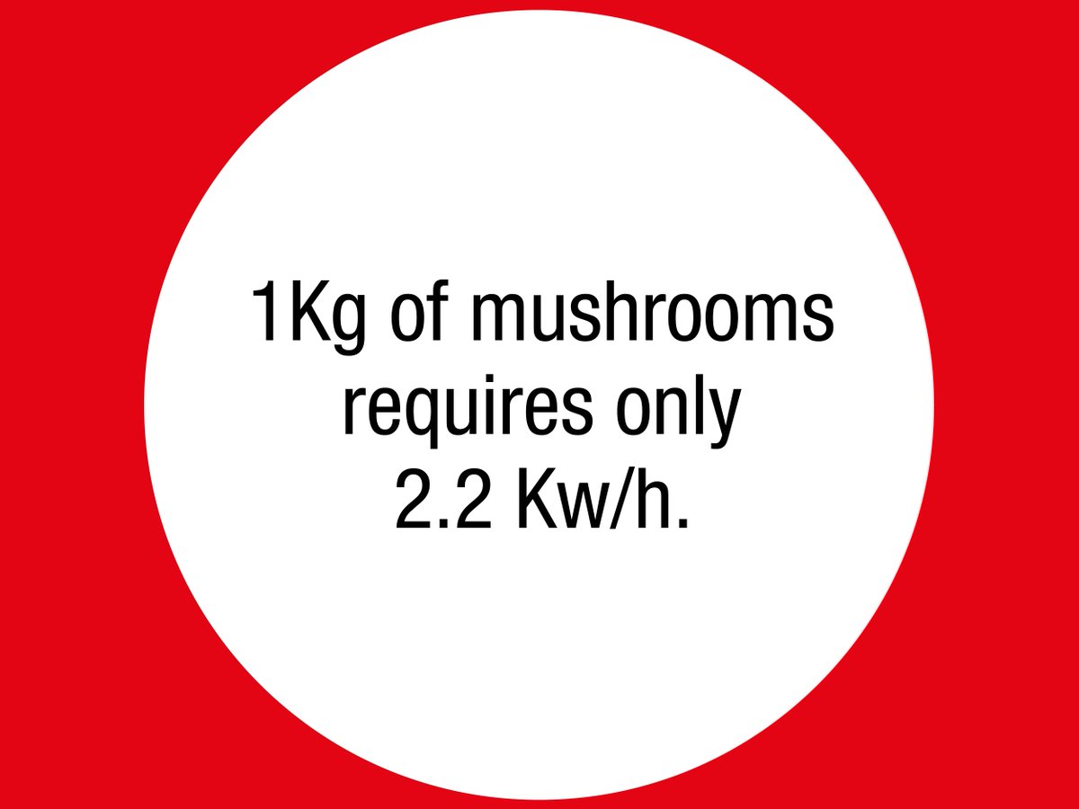 Fresh mushrooms don’t need much energy to grow, yet supply a treasure trove of vitamins and minerals.

#superfoodmushrooms #umami #comfortfood #healthyeating #waterweek #SAwaterweek #savewater #waterwise