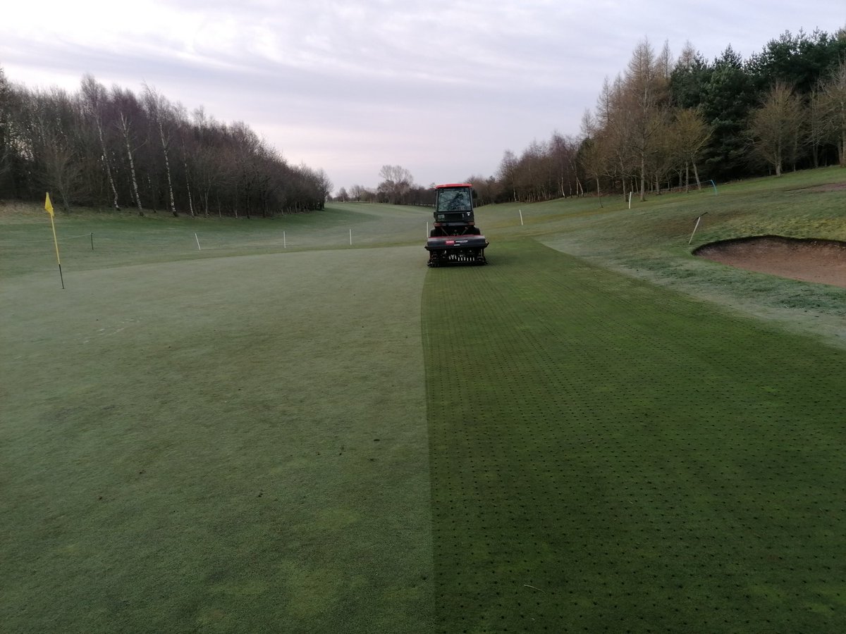 Solid tine greens today and dress