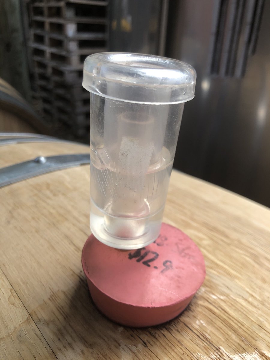 2020 Hancock &amp; Sons Chardonnay fermenting away in new French oak barrels