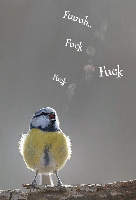 Me too little guy. https://t.co/Xf3iCFGM23