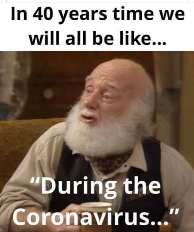 Cheeky Monkey Must Keep A Sense Of Humour During This Time Coronavirus Lockdownlondon