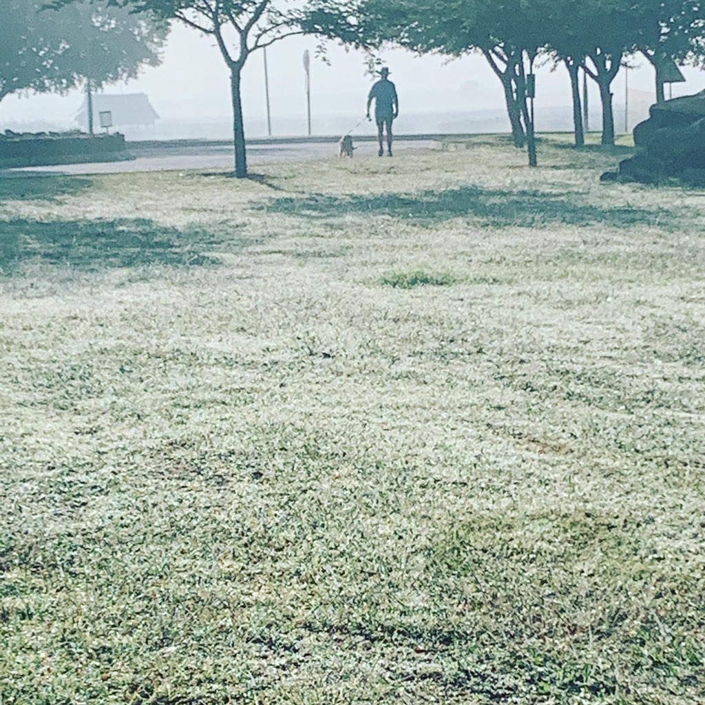 KaraboKbmags's tweet photo. #MorningWalk #mistymorning #runwalkforlife https://t.co/evQuMx5LHH