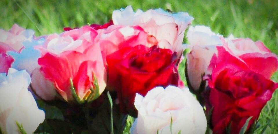 Bryan Ingram 🎮🏳️🌈🎧 tweet media