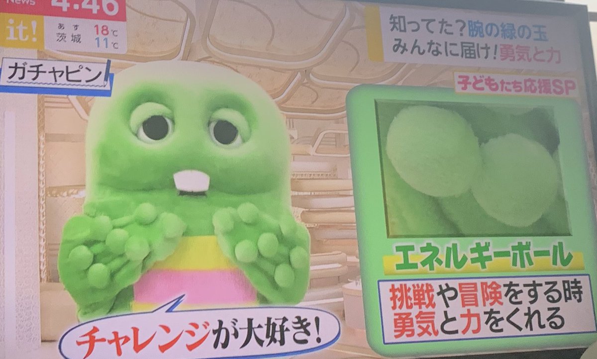 ダイナマイト マリン ばなもん Pa Twitter ガチャピンについてるイボみたいなやつってエネルギーボールだったんですか ダイナマイト マリン ばなもん Pa Twitter ガチャピンについてるイボみたいなやつってエネルギーボールだったんですか