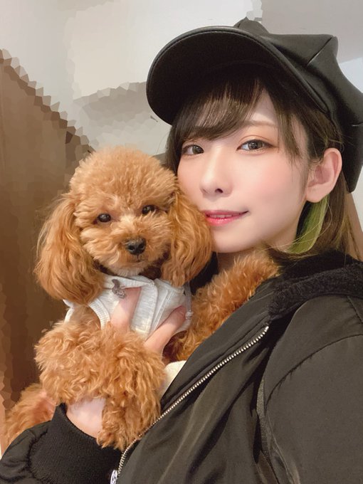 コスプレイヤーmisacoのTwitter画像1