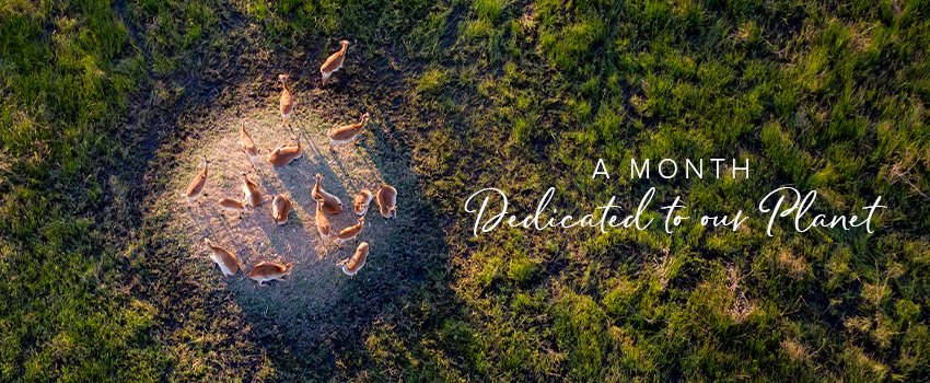 WeAreWilderness's tweet photo. A Month Dedicated to our Planet
https://t.co/CPXYXfFmcq
#WildernessStrong
#WildernessTogether https://t.co/1HI1BeqHrT