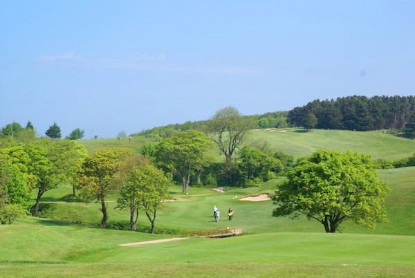 PlayMoreGolf tweet media