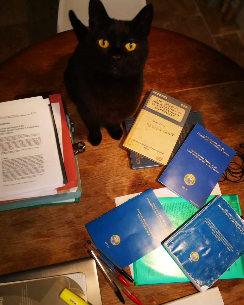 alexghionis's tweet photo. Day 1 of self isolation. Catsi (cat, pictured) is really happy about self isolation and has so far had lunch, late lunch, mid afternoon treat, 5's, and is now ready for his aperitif. I, on the other hand, have done nothing. #phdchat #wfh #cat https://t.co/ZtRcV8bGPm