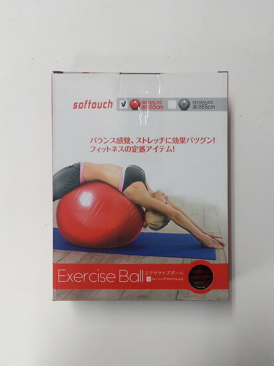 細田スポーツ バランスボール エクササイズボール 55cm 65cm お家でエクササイズ マニュアル付きなので初めての方でもすぐに出来ちゃう