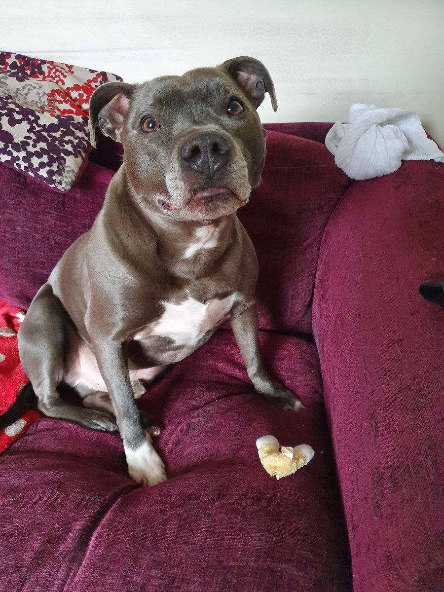 MediaSawdon's tweet image. sawdonsocialmedia.com

Bespoke social media marketing across your desired networks and within budget! 

Oh, and this Norman, my colleague