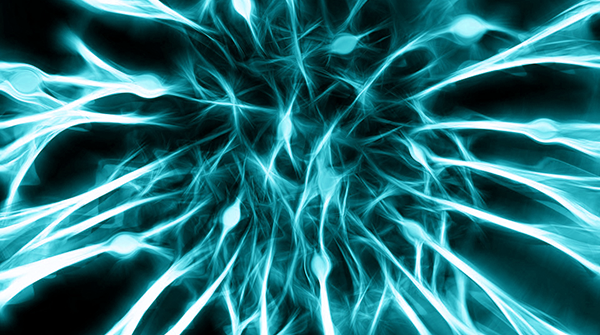 HumanBrainProj's tweet photo. Deciphering the brain means starting from the channels of neurons

"This is the goal of the ambitious European project, Human Brain Project."

Read more (Italian): https://t.co/tQFx3wAZep https://t.co/EVE8ZNd5Zd