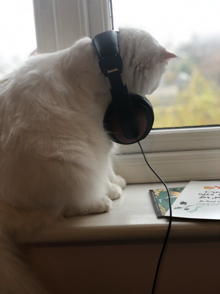 Recruited Leo to boost the sales of audiobooks. He isn’t impressed with me today. Also trying to get work to pay me for his modelling skills.