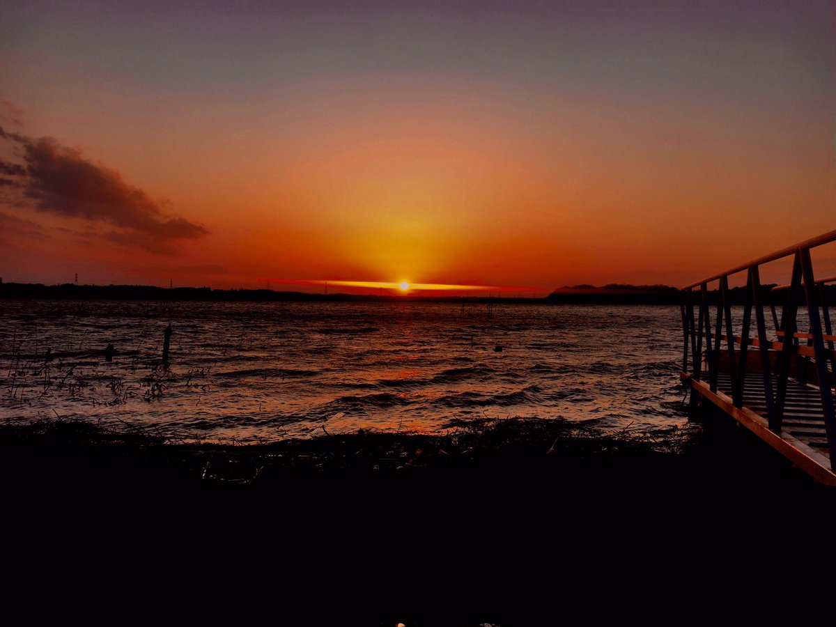 ビークロールスイマー ビークロールスイマー