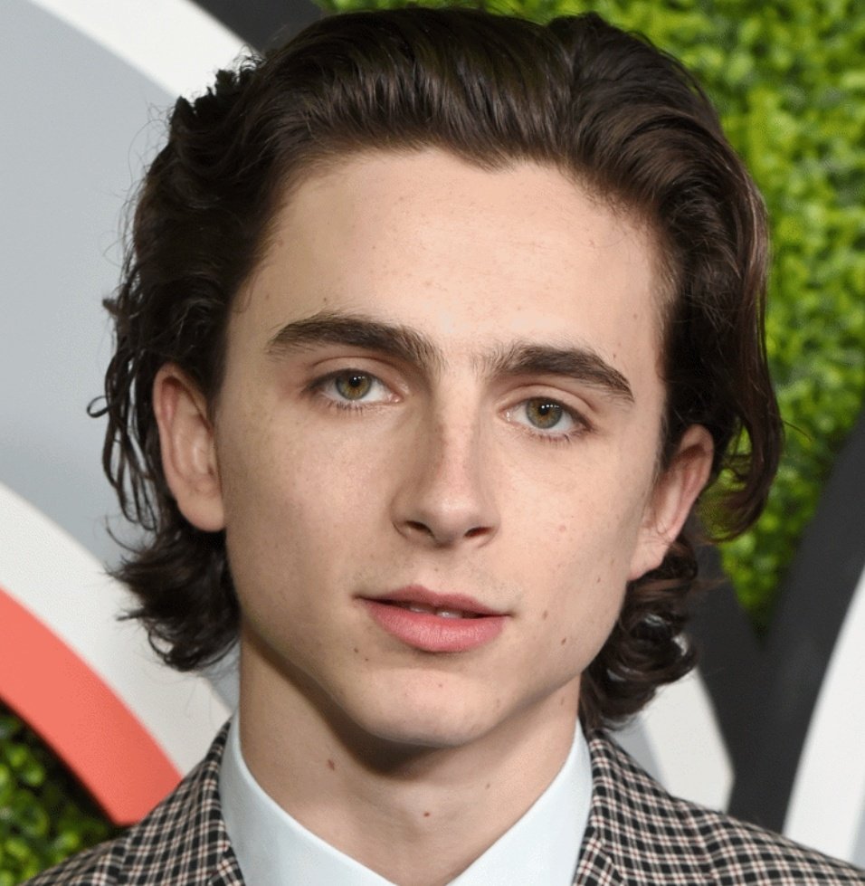 тимати шаалме. тимоти шаломе в профиль. тимоти чаламет леди берд. актер тимоти шаламе. тимоти шаламе глаза.